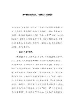 集中整治形式主义、官僚主义自查报告.docx