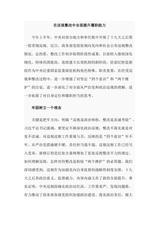 在巡视整改中全面提升履职能力.docx