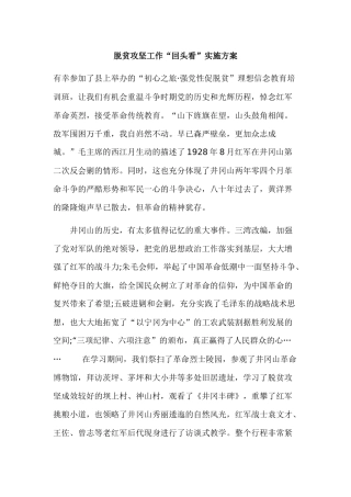 脱贫攻坚工作“回头看”实施方案.docx