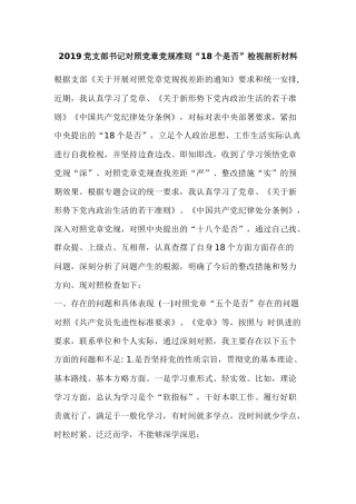 2019党支部书记对照党章党规准则“18个是否”检视剖析材料.docx
