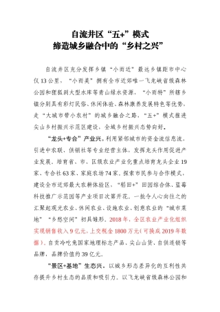 乡村振兴.wps
