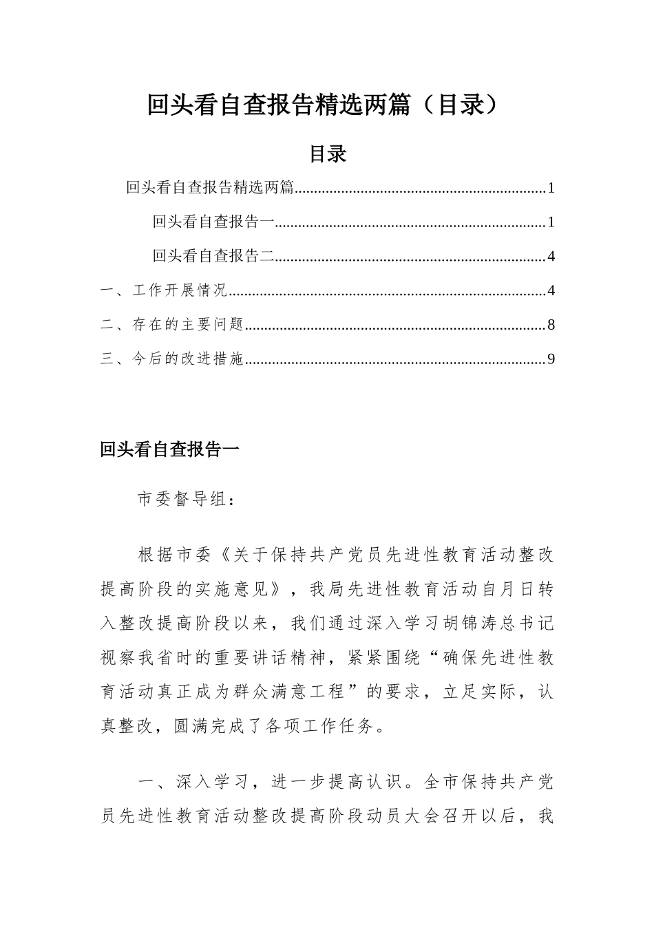回头看自查报告精选两篇（目录）.docx_第1页