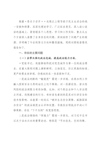 ×党组书记×年度民主生活会个人对照检查材料.docx