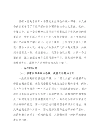 自然资源局主要领导2026年度民主生活会个人对照检查材料(带案例).docx