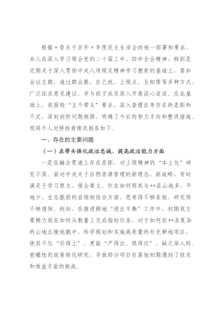 自然资局长2026年度民主生活会个人对照检查材料(五个带头).docx
