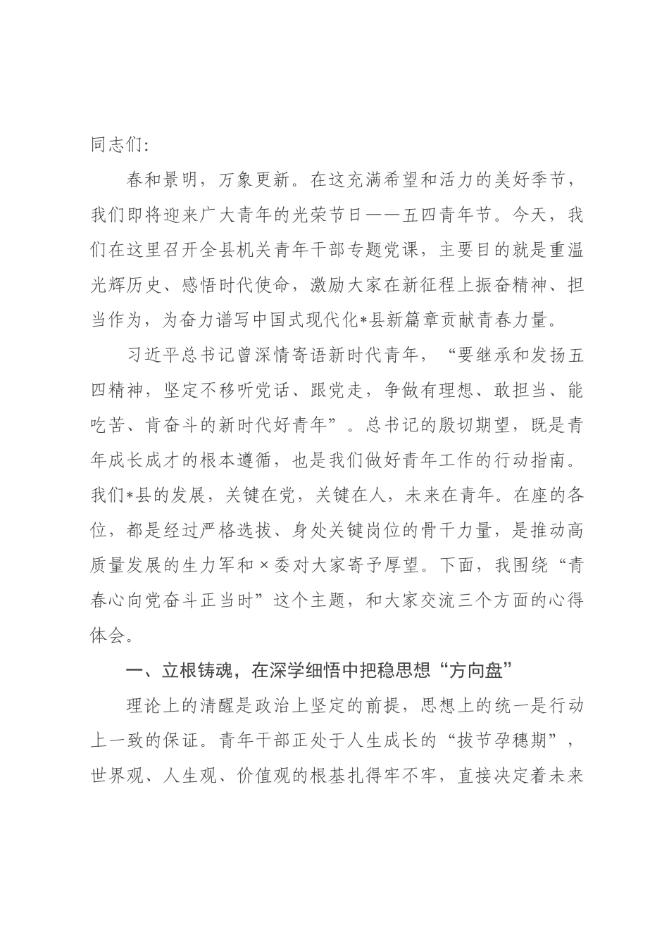专题党课：青春心向党，奋斗正当时.docx_第1页
