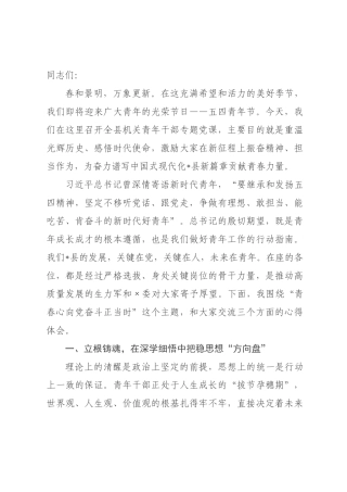 专题党课：青春心向党，奋斗正当时.docx
