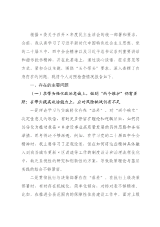 住局长2026年度民主生活会个人对照检查材料(五个带头).docx