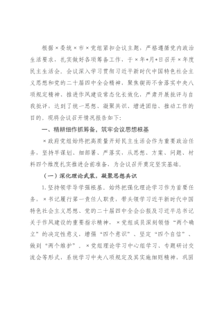 政府党组2026年度民主生活会召开情况报告.docx