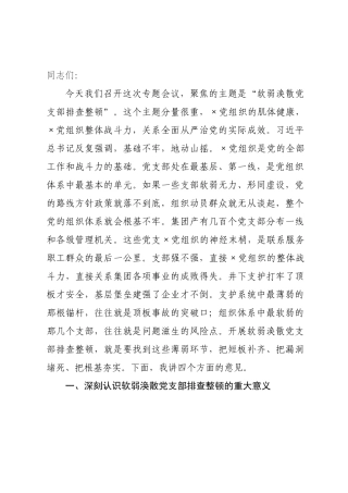 在集团公司排查整顿软弱涣散党支部工作会议上的讲话.docx