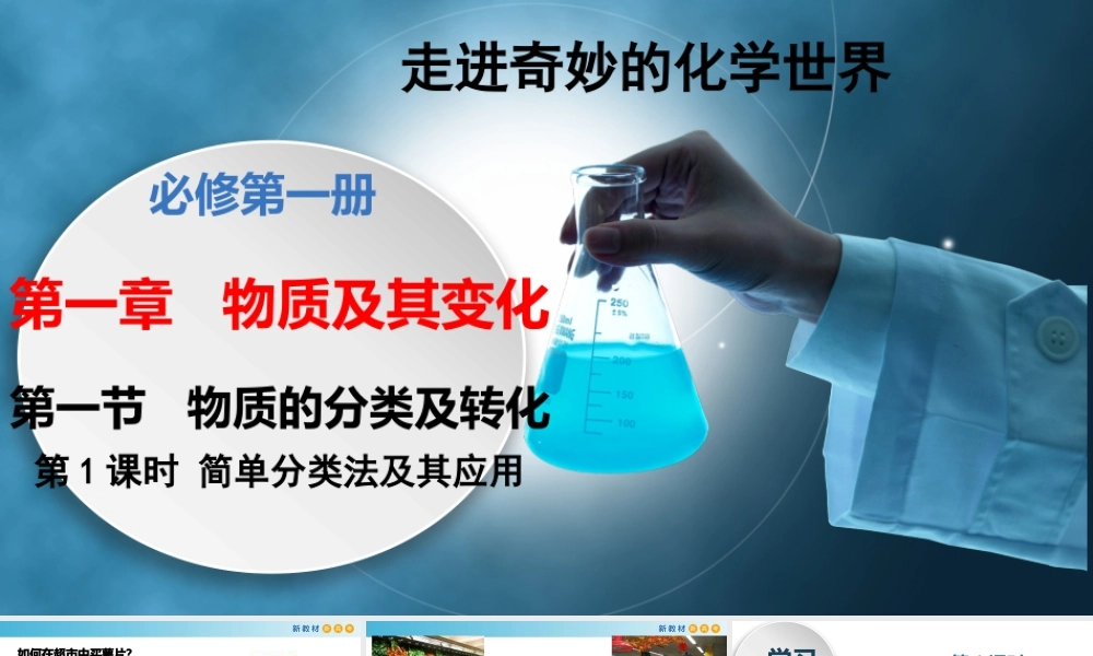1.1.1 简单分类法及其应用（教学课件）- 高一化学同步教学课堂（人教版2019必修第一册）.pptx