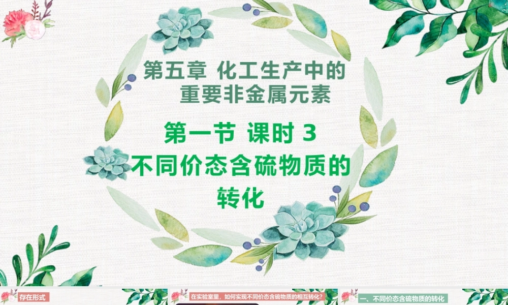5.1.3  不同价态含硫物质的转化- 高一化学同步课堂精品课件（人教版2019必修第二册）.pptx