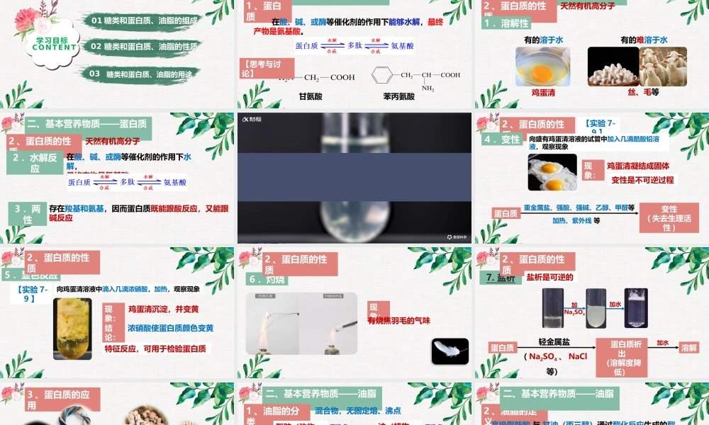 7.4.2  蛋白质和油脂- 高一化学同步课堂精品课件（人教版2019必修第二册）.pptx