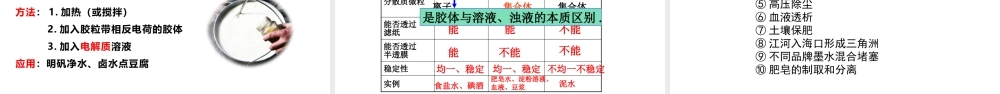 1.1.2 常见的分散系 胶体（教学课件）- 高一化学同步教学课堂（人教版2019必修第一册）.pptx