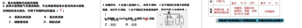 2.2.2 氯水的成分、氯离子的检验（教学课件）- 高一化学同步教学课堂（人教版2019必修第一册）.pptx