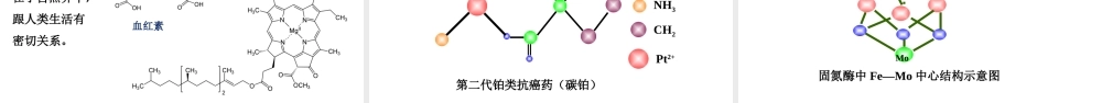 3.4.1配合物- 高二化学同步优选备课课件（人教版2019选择性必修2）.pptx