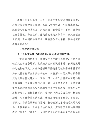 应急管理×领导班子2026年度民主生活会对照检查材料.docx