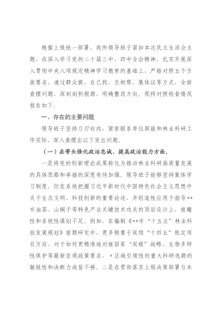 研究所领导班子2026年度民主生活会对照检查材料(五个带头).docx