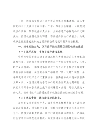 税务×政府建设落实情况报告.docx