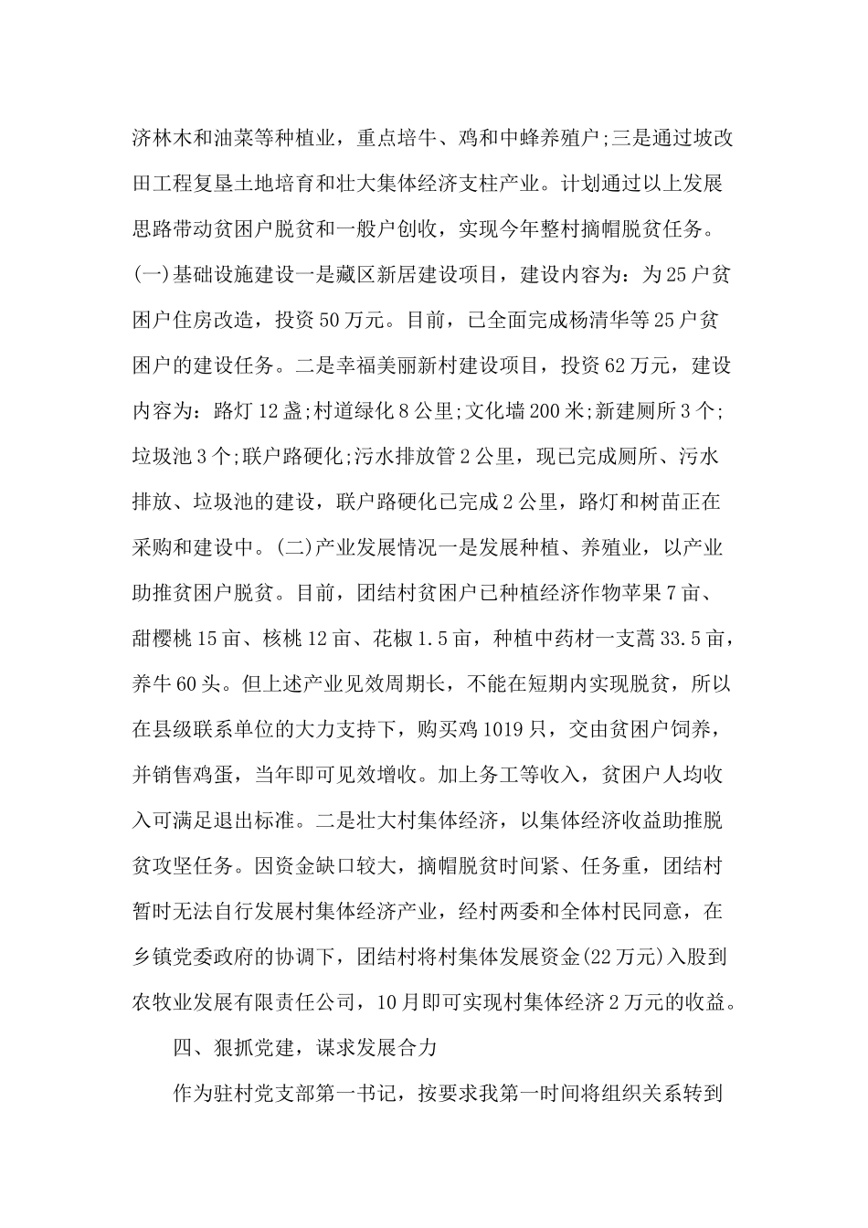 2019年驻村第一书记述职报告5篇（推荐）.docx_第3页
