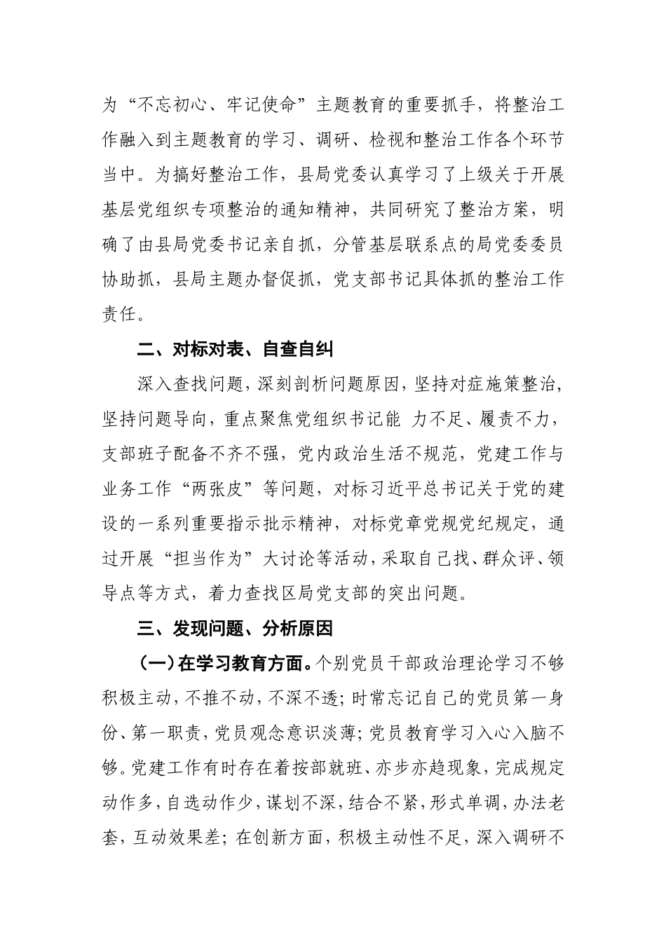 某区税务局党支部关于基层党组织软弱涣散问题专项整治工作情况报告.doc_第2页