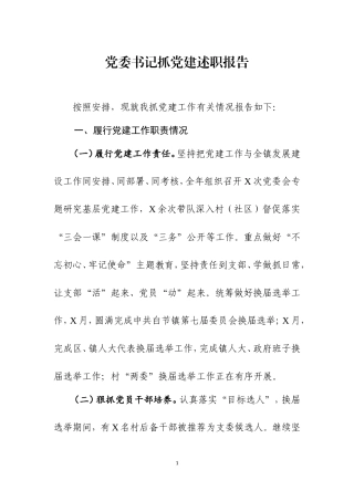 党委书记抓党建工作述职报告两篇.doc