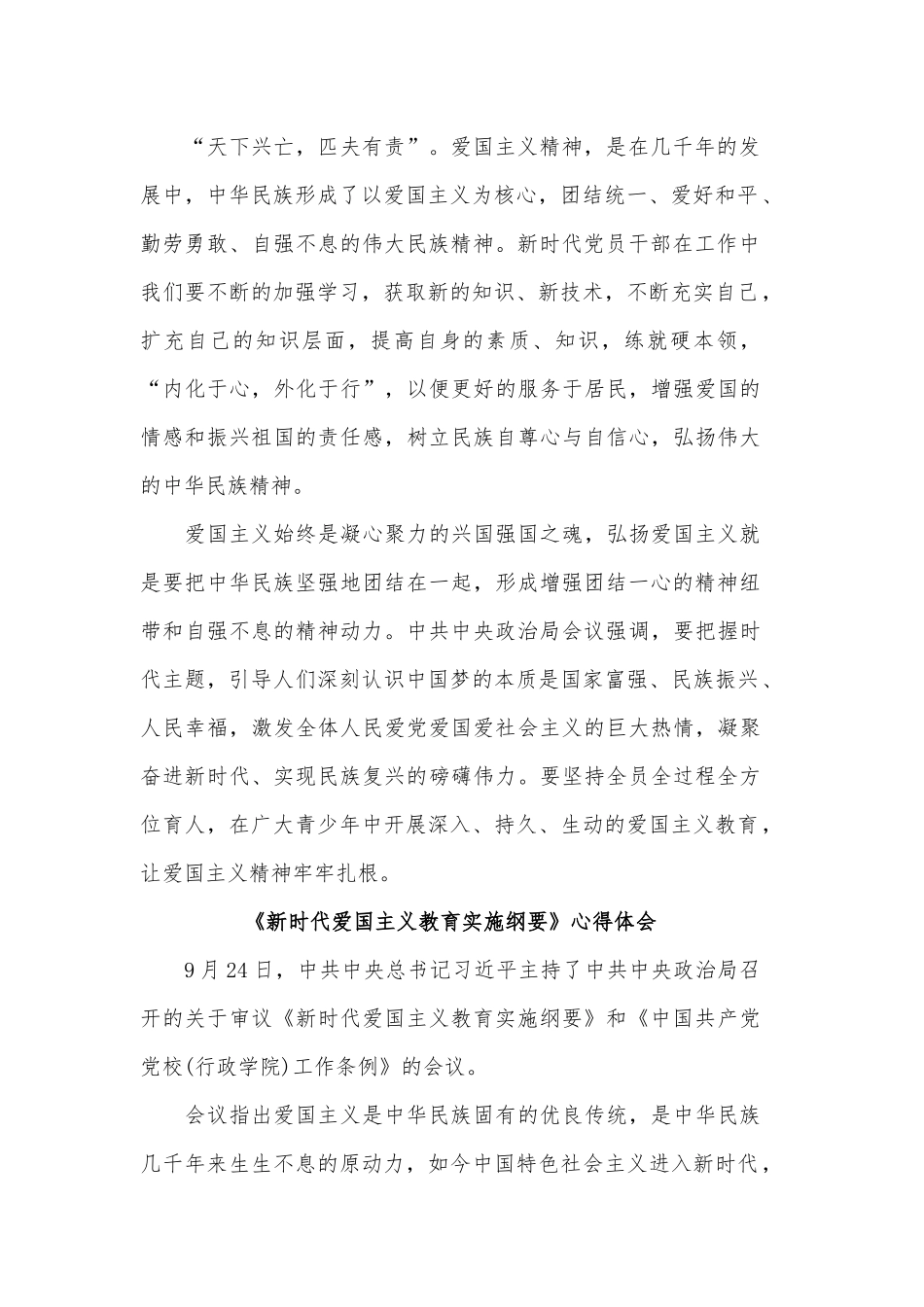 学习2019《新时代爱国主义教育实施纲要》心得体会.docx_第2页