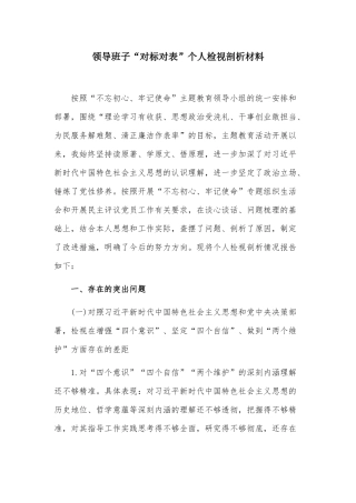 领导班子“对标对表”个人检视剖析材料.docx