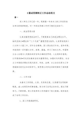 2篇试用期转正工作总结范文.docx