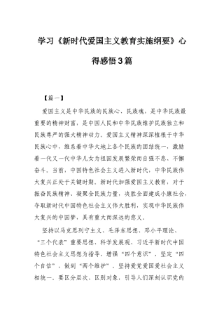 学习《新时代爱国主义教育实施纲要》心得感悟3篇.docx