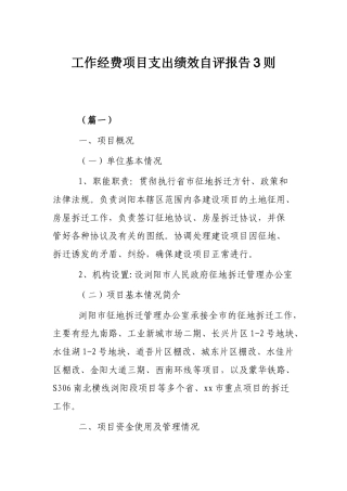 工作经费项目支出绩效自评报告3则.docx