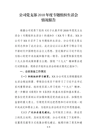 公司党支部2018年度专题组织生活会情况的报告