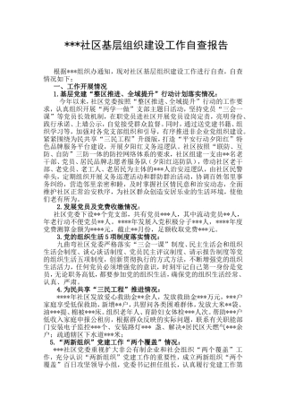 社区基层组织建设工作自查报告