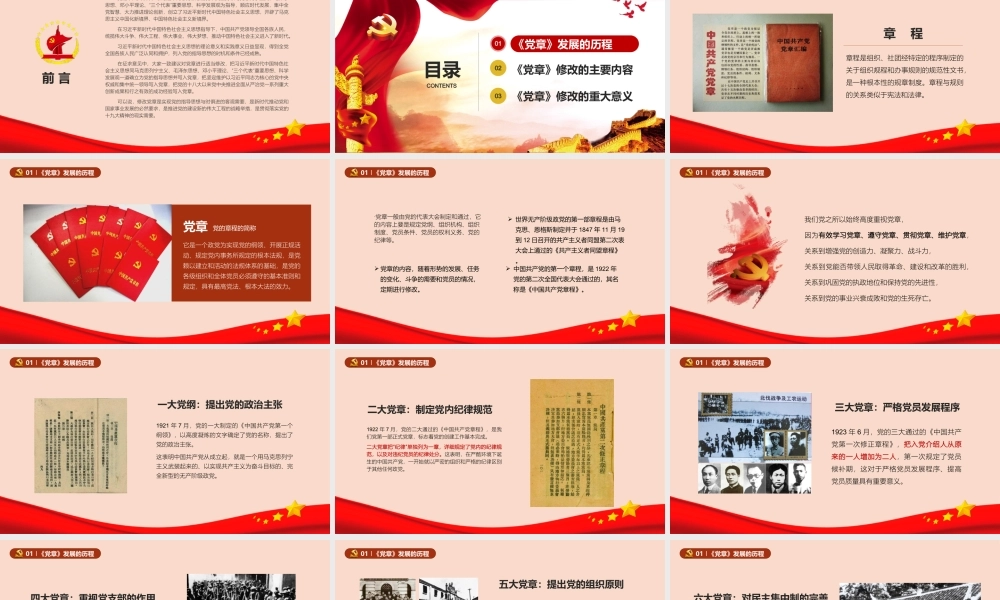 深入学习贯彻执行新《党章》在实践中做合格党员