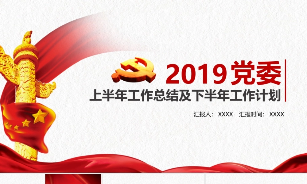 2019年党政机关工作汇报（通用模板）