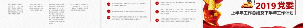 2019年党政机关工作汇报（通用模板）
