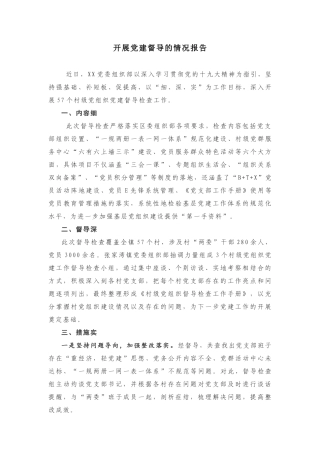 开展党建督导的情况报告