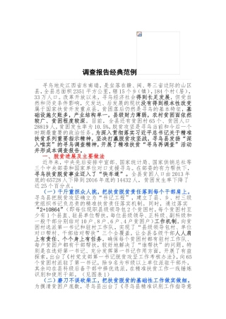 调查报告经典范例
