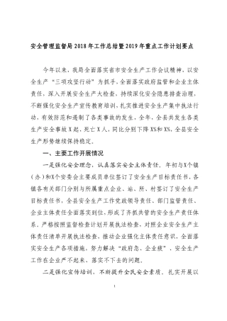 最新安全管理监督局202×年工作总结暨2019年重点工作计划要点