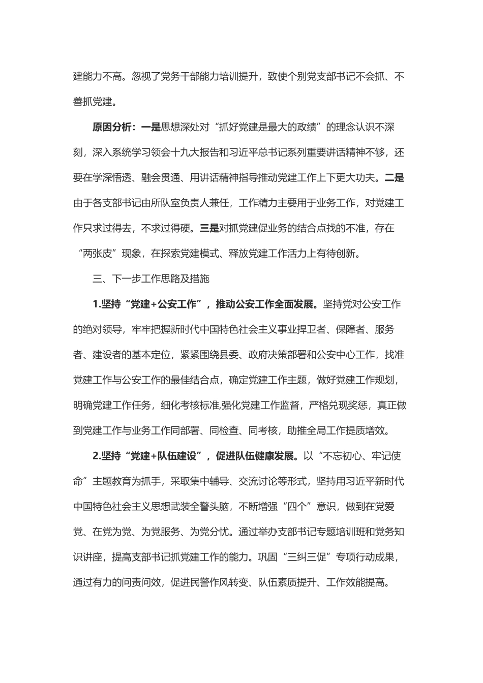 最新公安局长202×-2019年党建工作述职述责述廉报告_第3页
