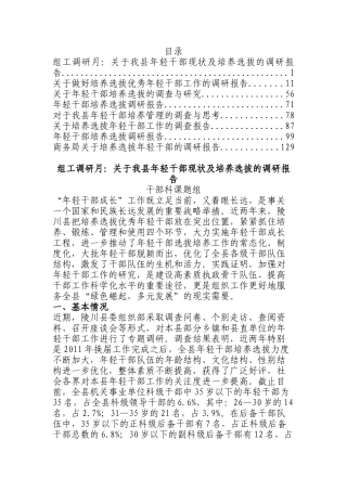 年轻干部培养调研报告