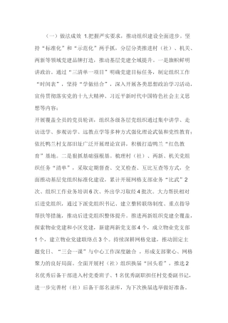 2019年度抓基层党建工作述职报告