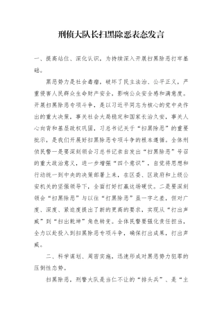 刑侦大队长扫黑除恶表态发言