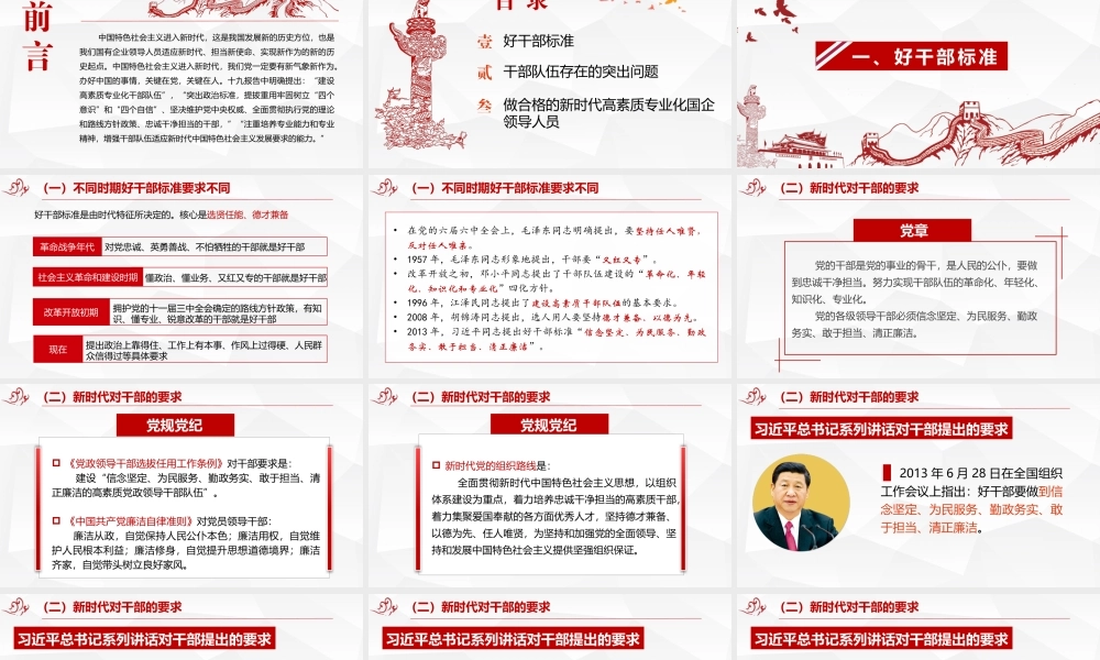 做合格的新时代高素质专业化