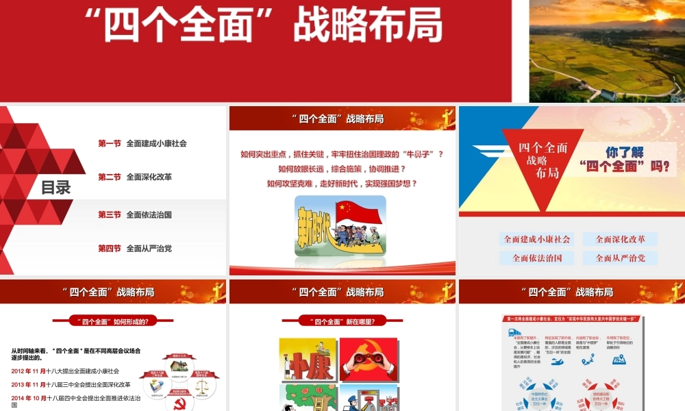 第十一章-“四个全面”战略布局