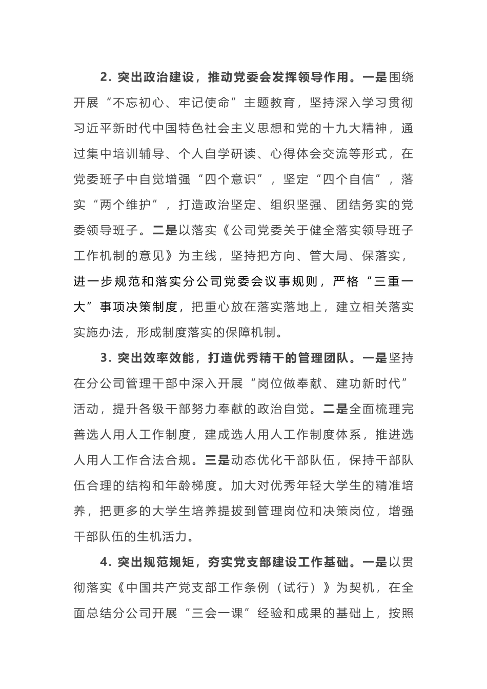 公司党委2019年党建工作要点_第2页