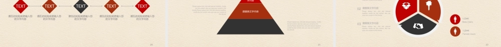 红色党政风新时代中国税务精神党建模板ppt党课课件