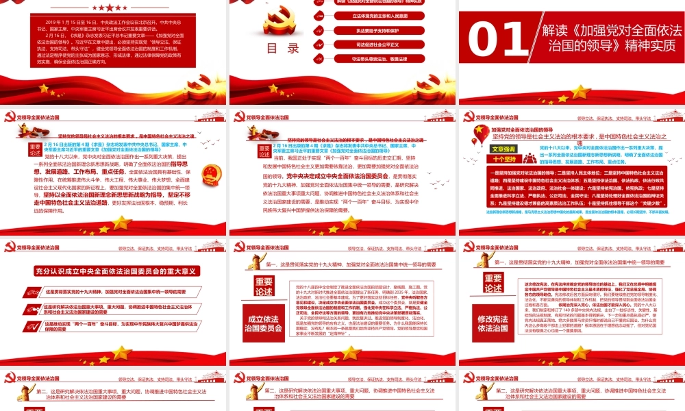学习领会加强党对全面依法治国的领导重要论述党政党建党课ppt党课课件
