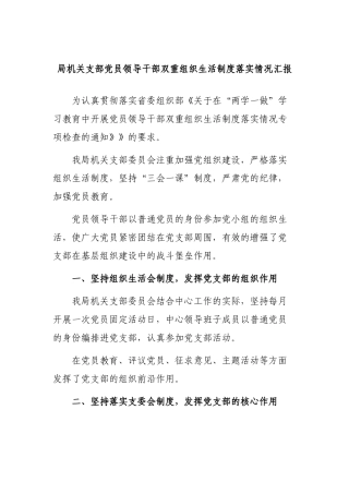 局机关支部党员领导干部双重组织生活制度落实情况汇报.docx