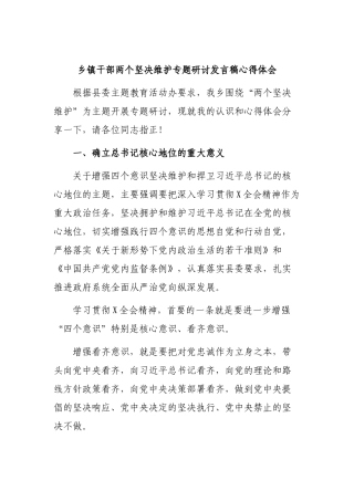 乡镇干部两个坚决维护专题研讨发言稿心得体会.docx